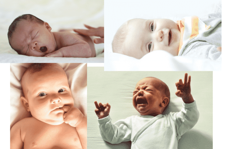 Théorie de l'attachement de Bowlby 4 étapesclés pour la comprendre